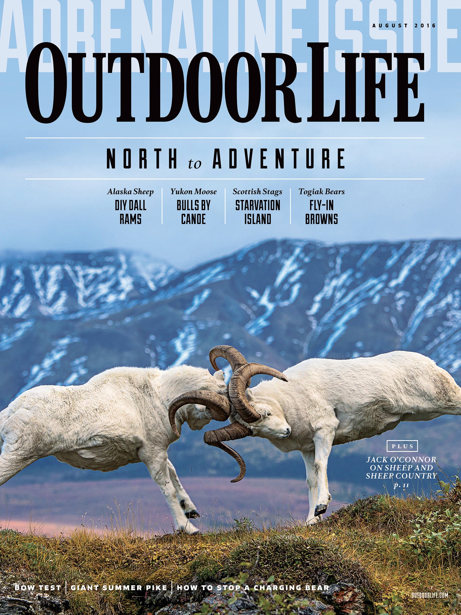 August 2014: A photograph ran on almost every cover of OL in the 2010s.