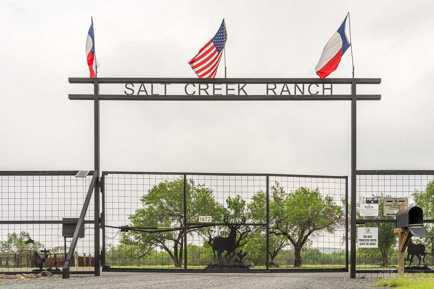 exotic hunting texas 8