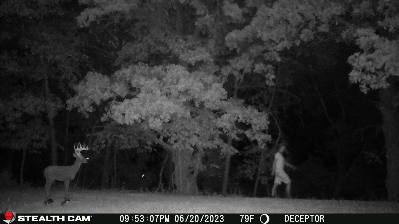 deceptor stealth cam