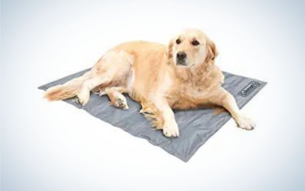 Best Outdoor Dog Beds of 2023 | Afield Daily