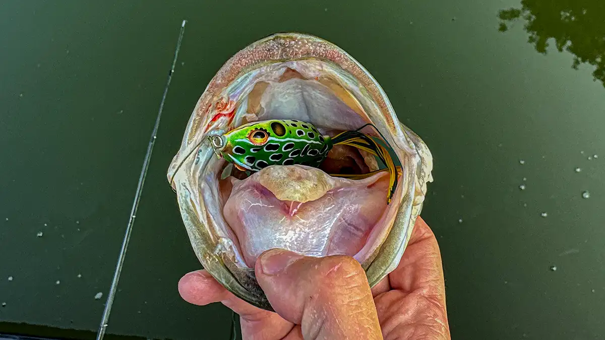 pad crasher with fish 