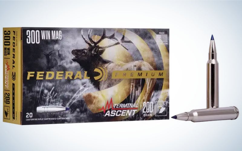 Federal Premium Terminal Ascent 200-grain is best for big game.