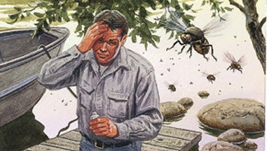 DEET free, homemade bug spray, homemade bug dope, bug spray, mosquito repellant, mosquito spray, black fly repellant, black fly spray, instect repellant, DIY bug spray, homemade citronella spray