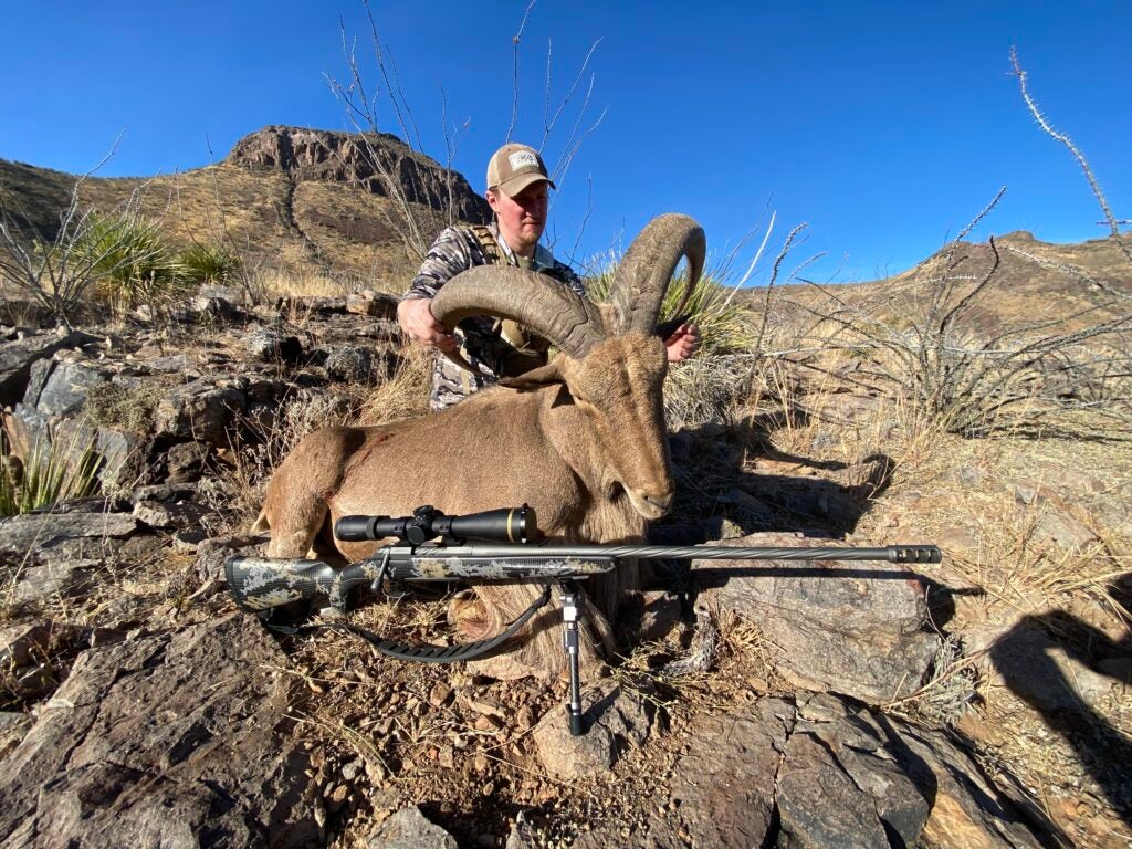 Freel with trophy aoudad
