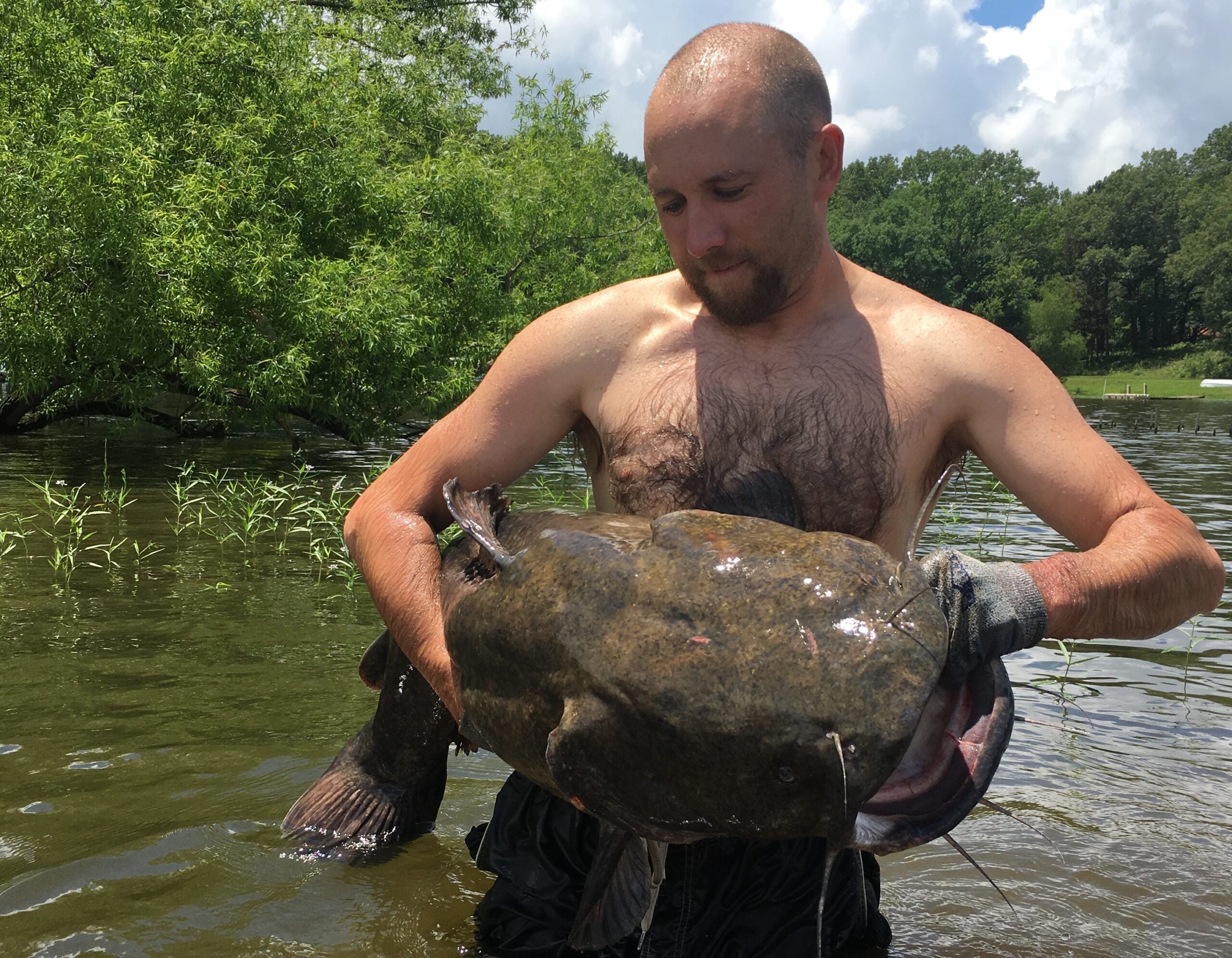 Catfish Noodling 101: A Beginner’s Guide | Afield Daily