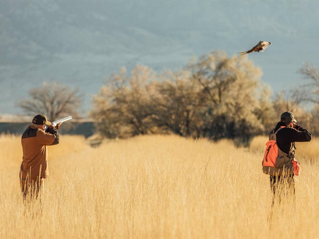 photo of hunter wingshooting