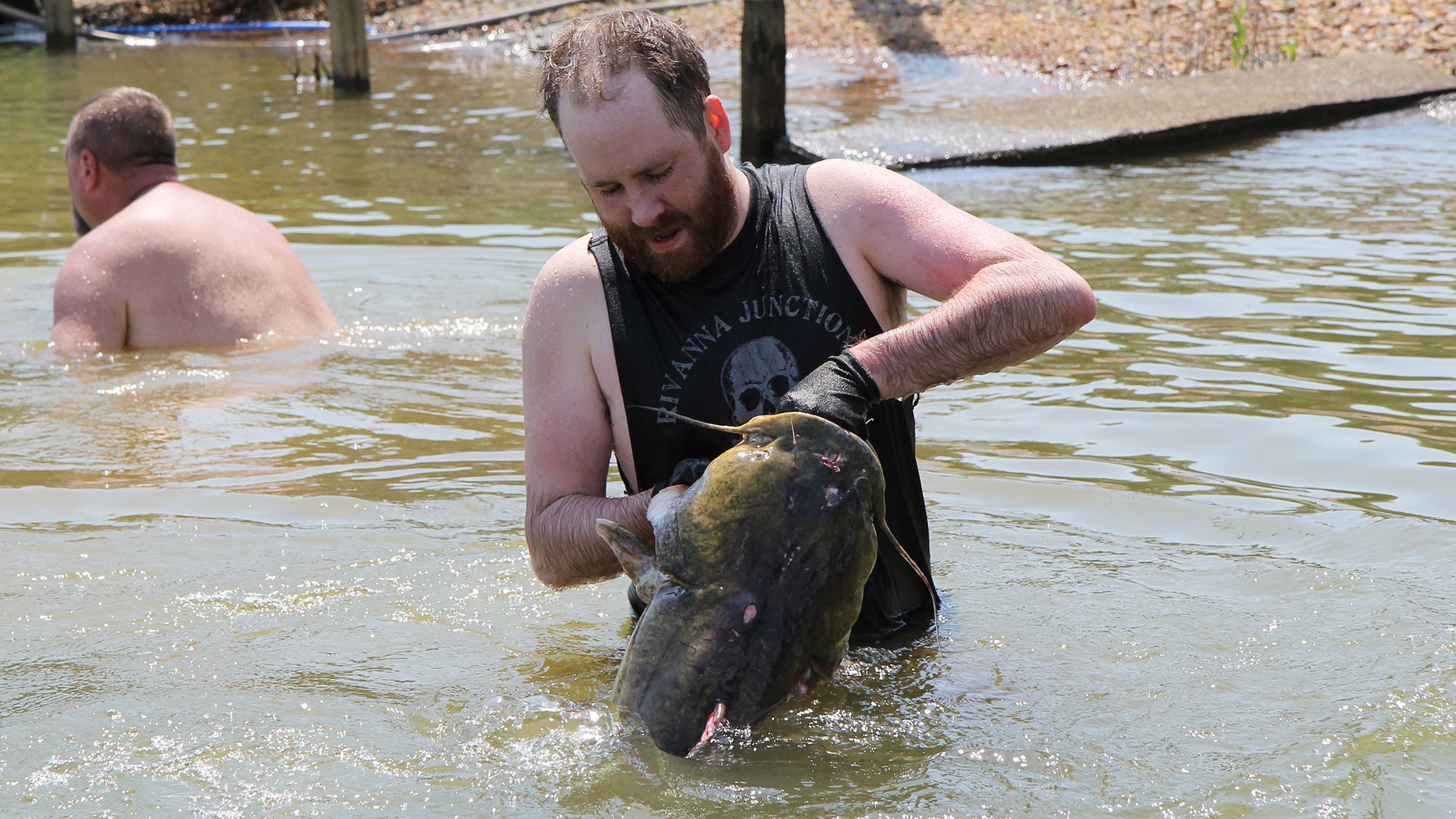 Catfish Noodling 101: A Beginner’s Guide | Afield Daily