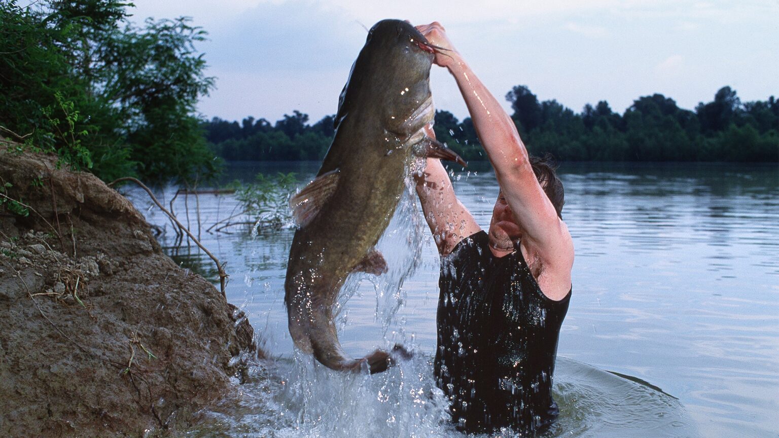 Catfish Noodling 101 A Beginner’s Guide Afield Daily