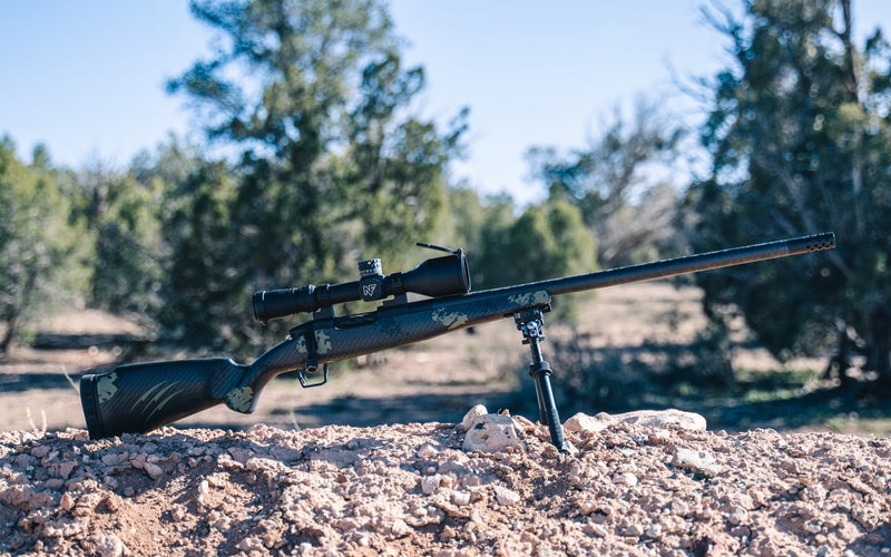 The Fierce Carbon Rogue