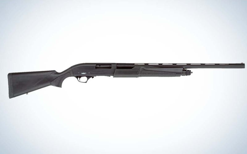 A black shotgun