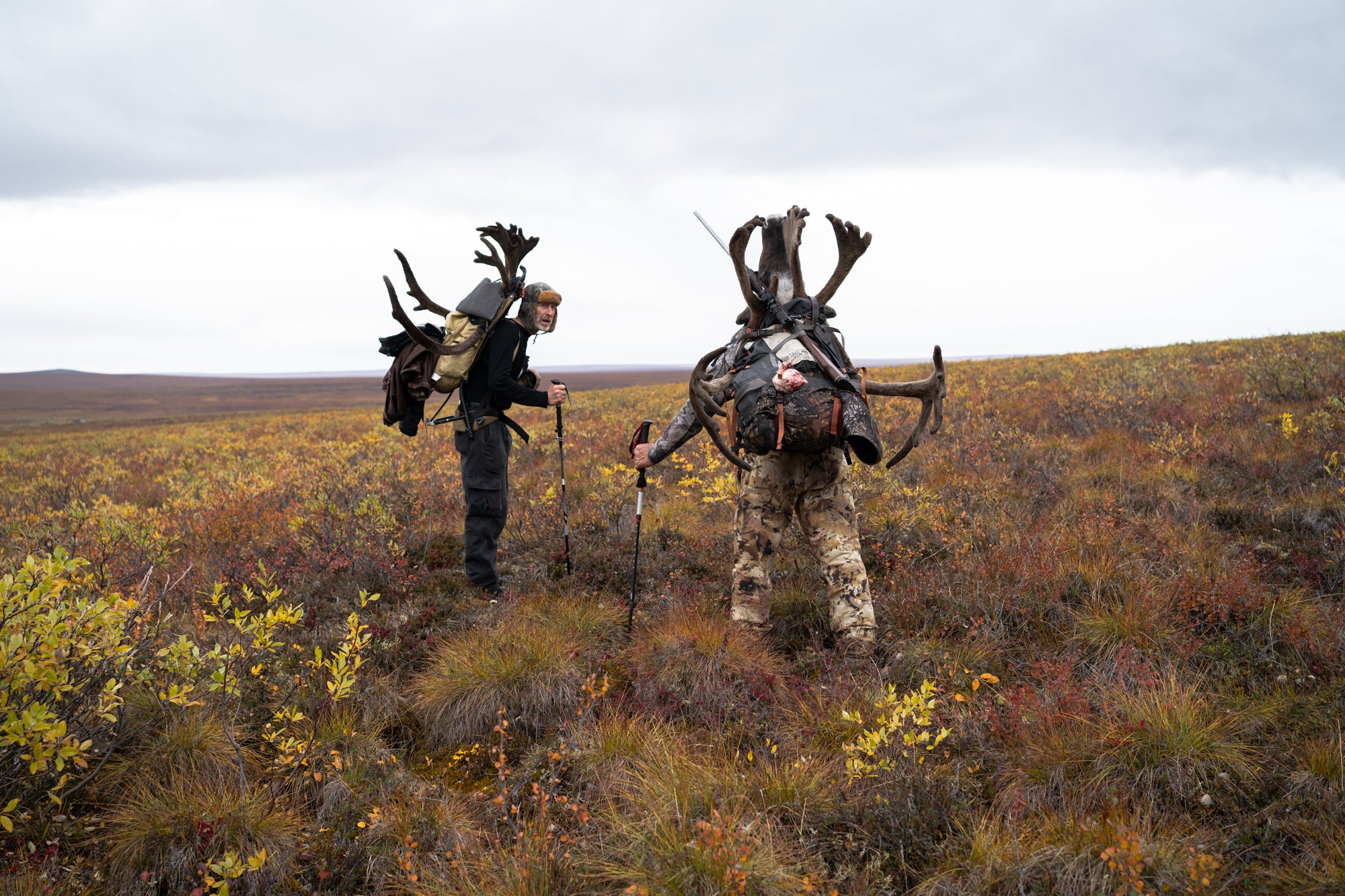 caribou hunting alaska