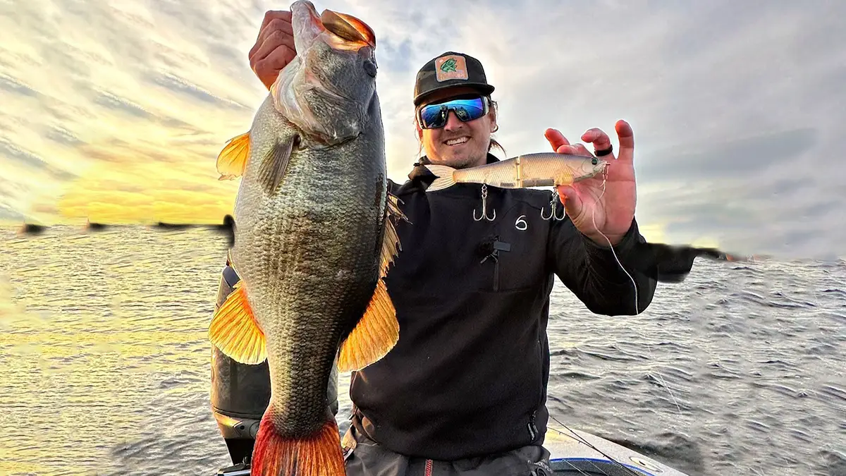 big bass on big swimbaits / photo by Ben Milliken