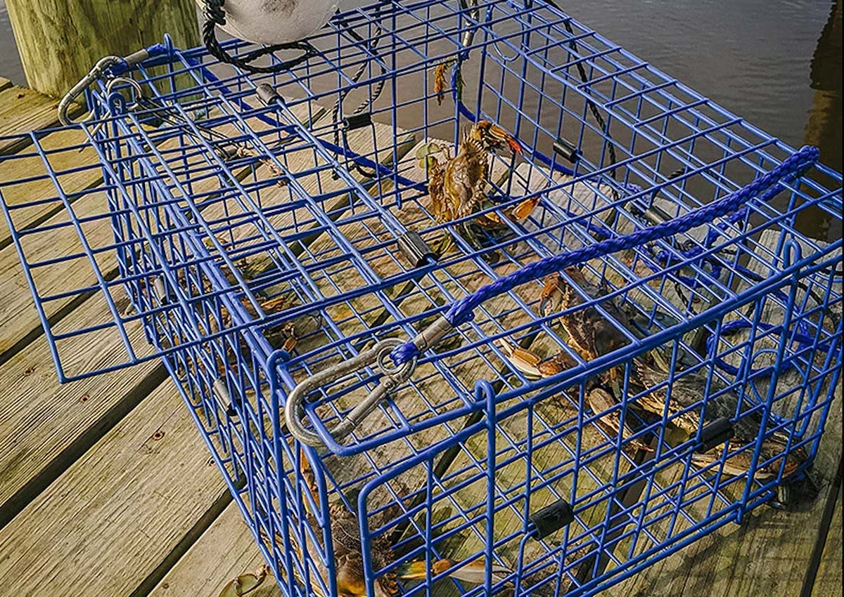 The Best Crab Traps of 2023 | Afield Daily
