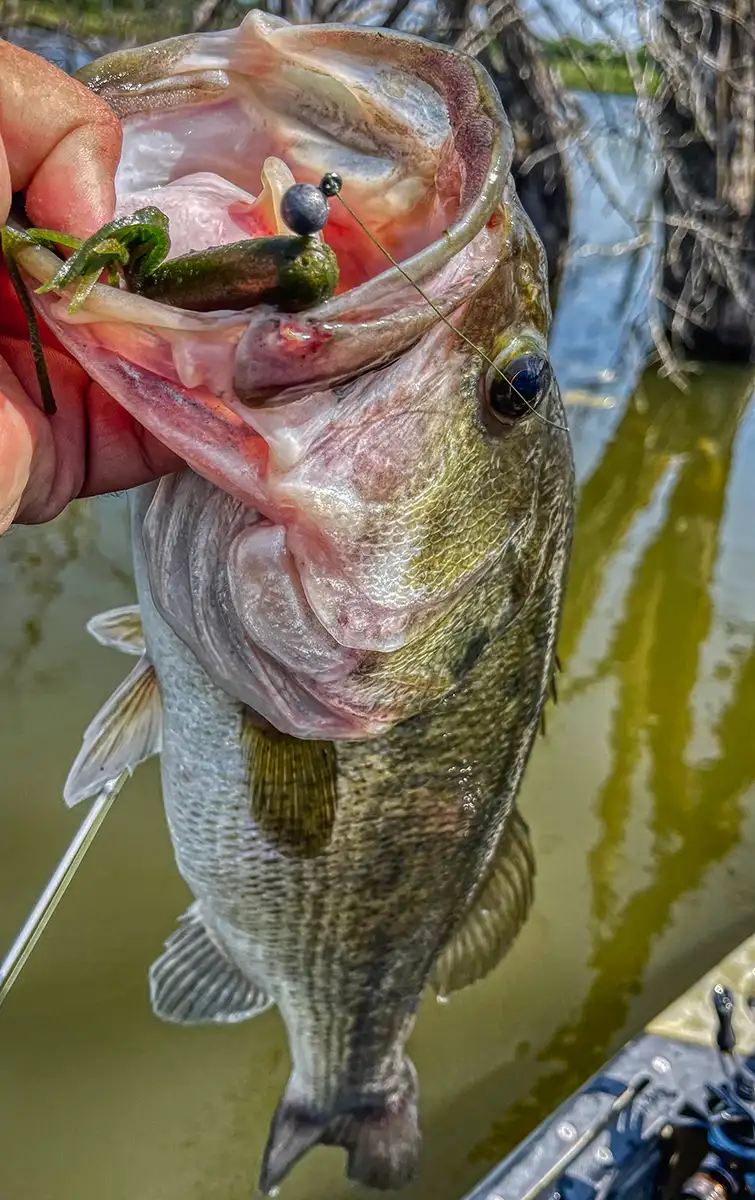 jenko trick tube gets 5-pound largemouth