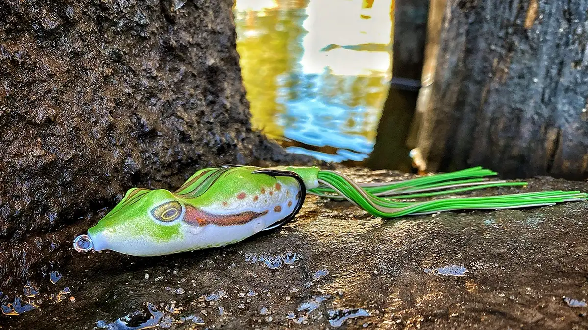 Bobby's Perfect frog