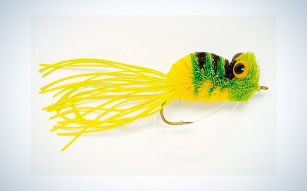 Baits, Lures & Flies photo