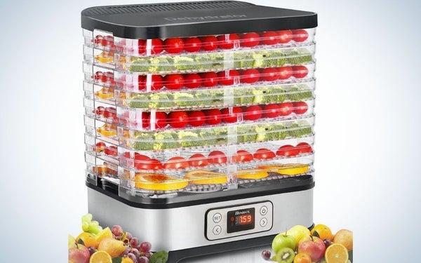 Homdox Food Dehydrator is the best dehydrator for jerky under $100.