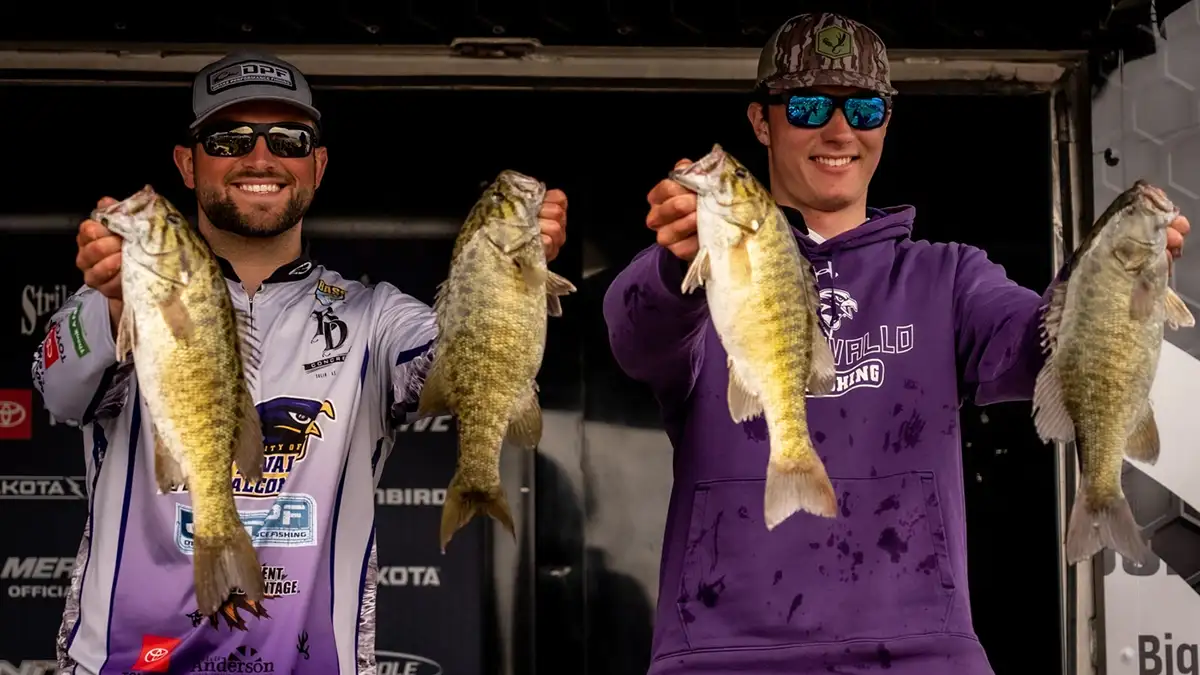 Team of the year duo