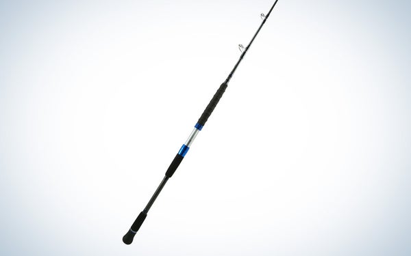 Best Jigging Rods