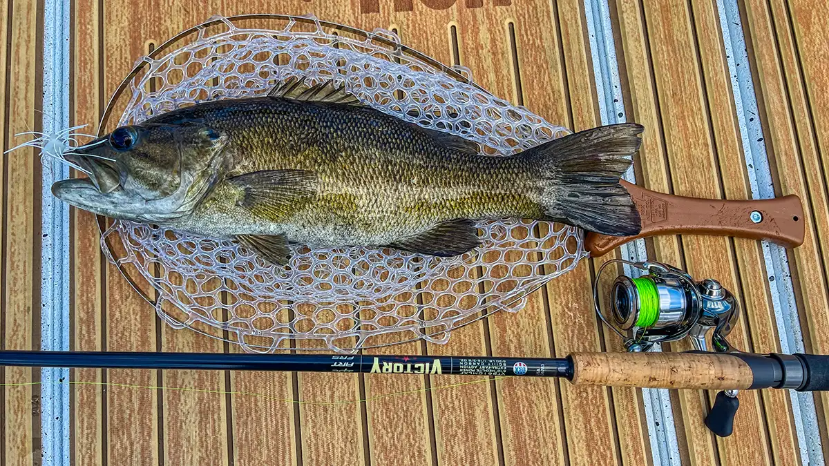 dice rubber smallmouth