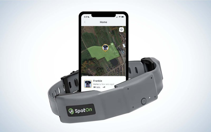 Best Invisible Dog Fences of 2023