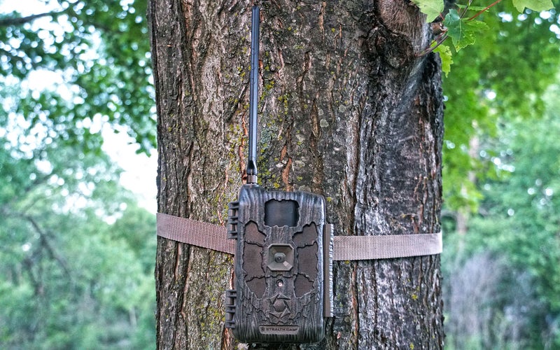 Deer Hunting Gear photo