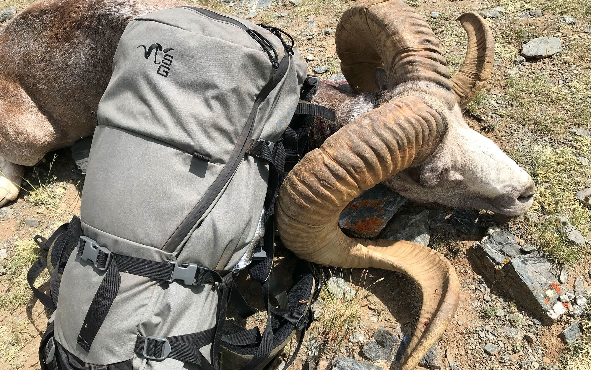 The author's harvest props up the Stone Glacier Solo.