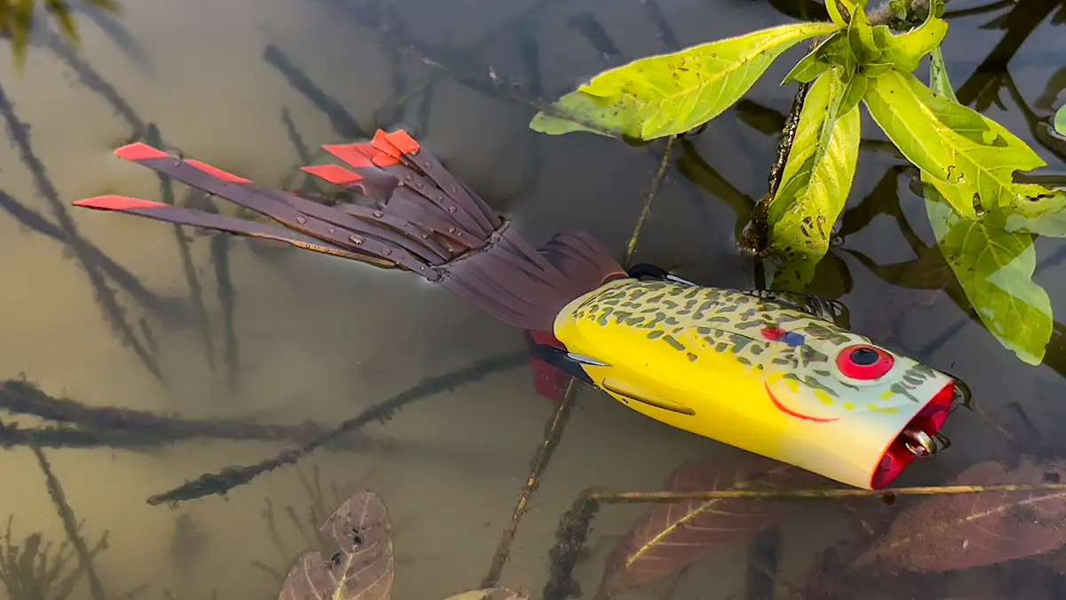 Strike King Popping Perch
