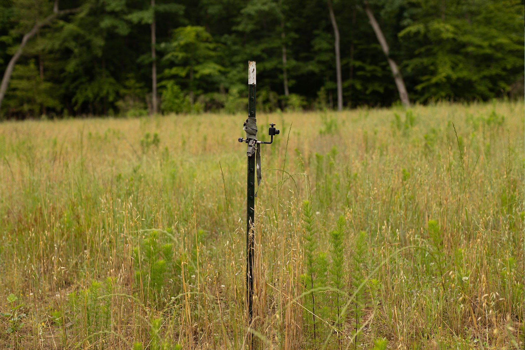This photo, provided by IJ, shows the post where Highlander says his trail camera was mounted before the April 8 incident. 