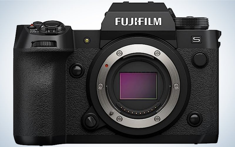 The Fujifilm X-H2SÂ is one of the best cameras for wildlife photography.