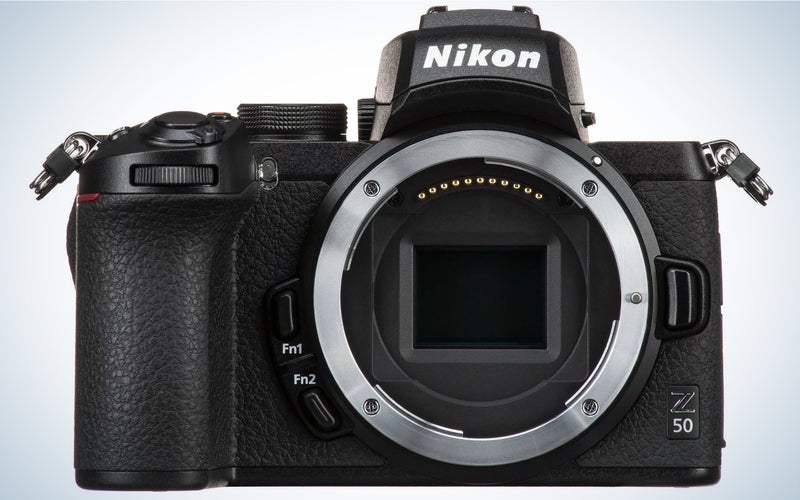 The Nikon Z50Â is one of the best cameras for wildlife photography.