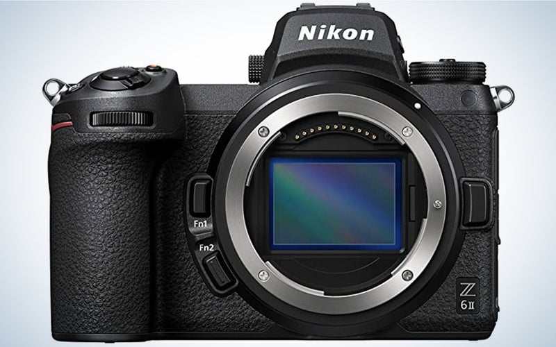 The Nikon Z6 IIÂ is one of the best cameras for wildlife photography.