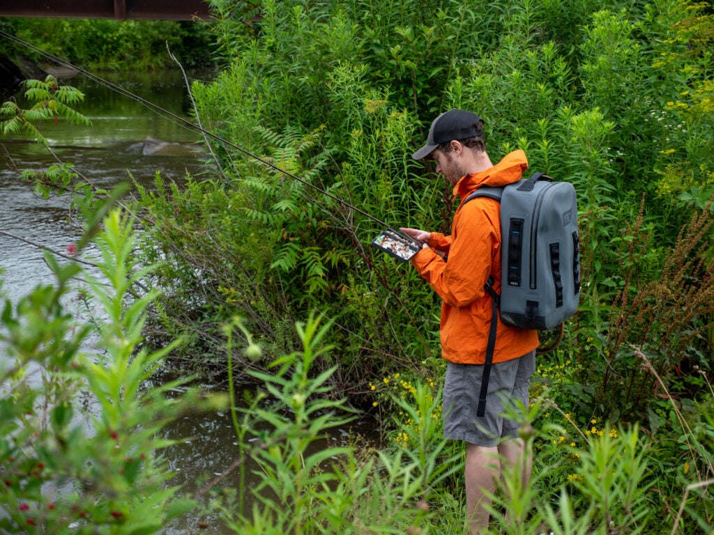 Fly angler changes flies on the stream.