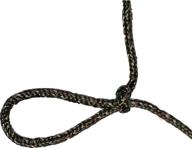 quick release knot step 1