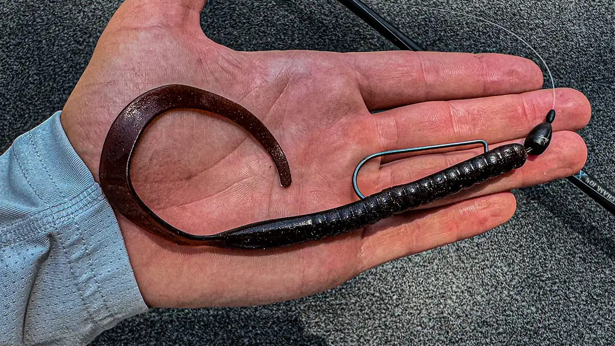 Texas Rigged Worm