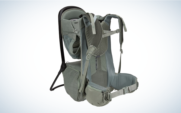 Thule Sapling Child Carrier