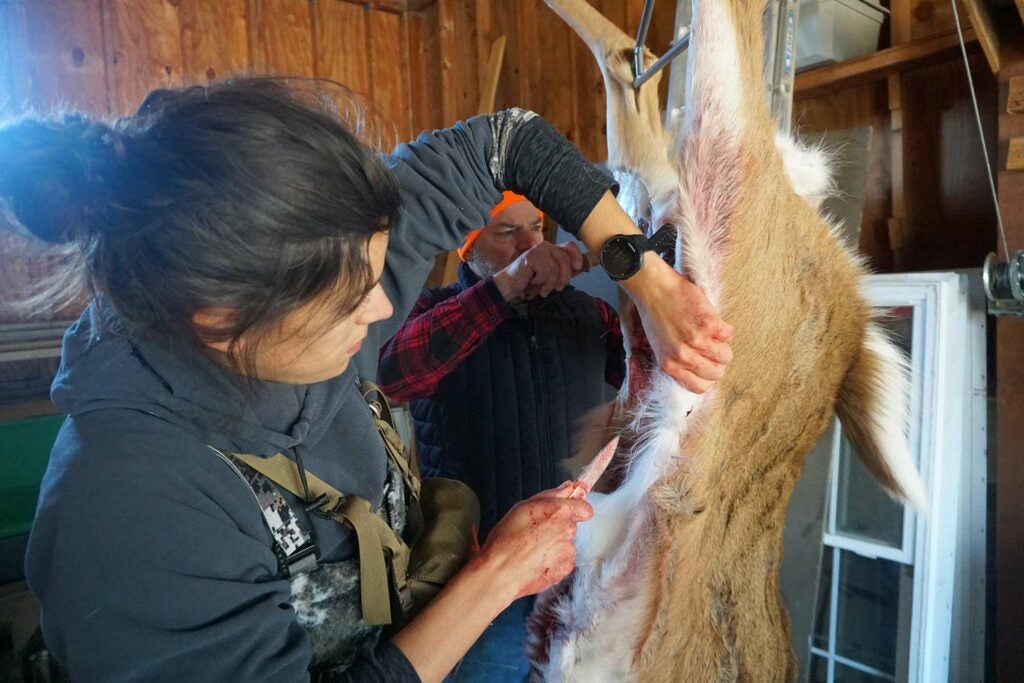 A female hunter skins a whitetail deer.