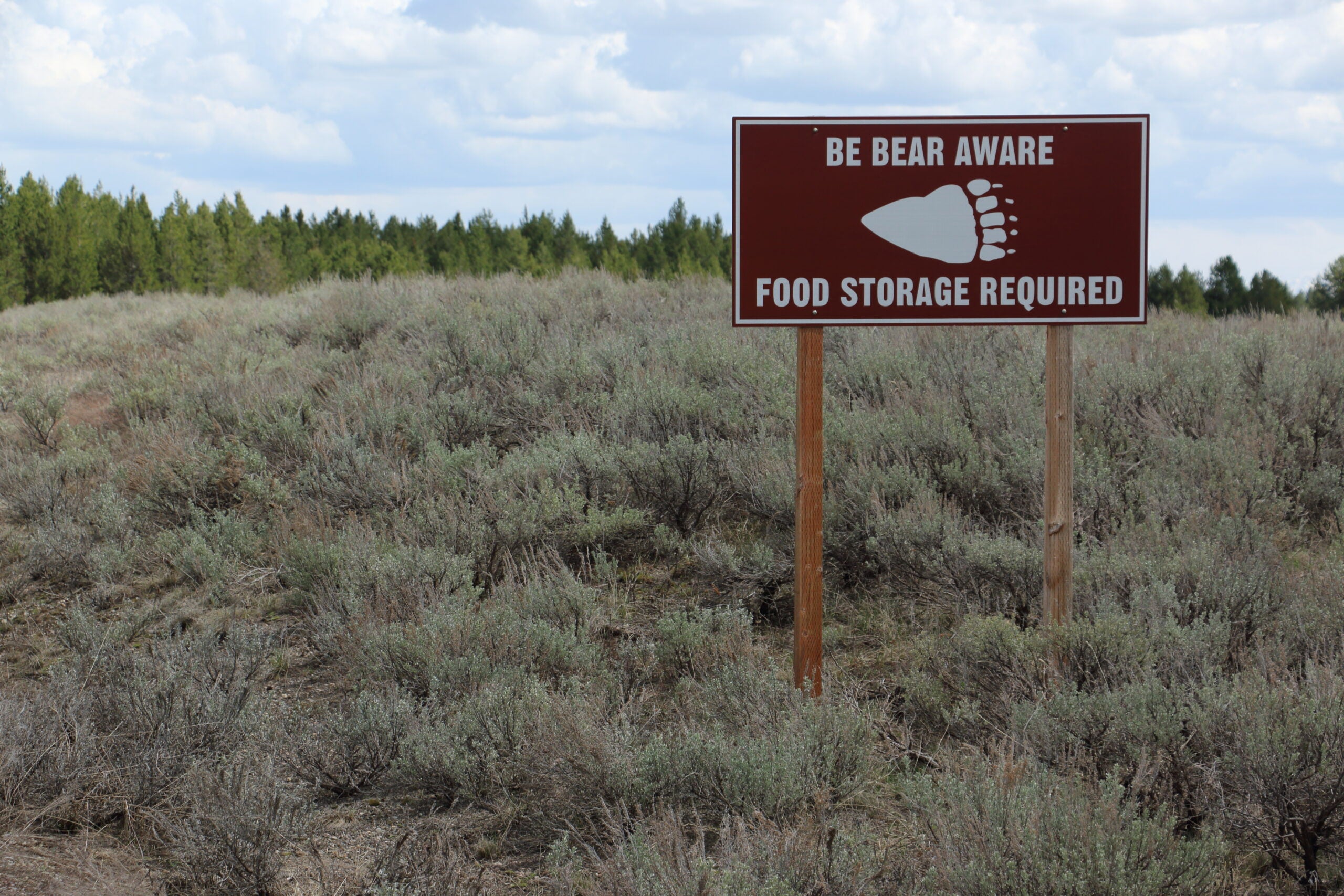 bear sign