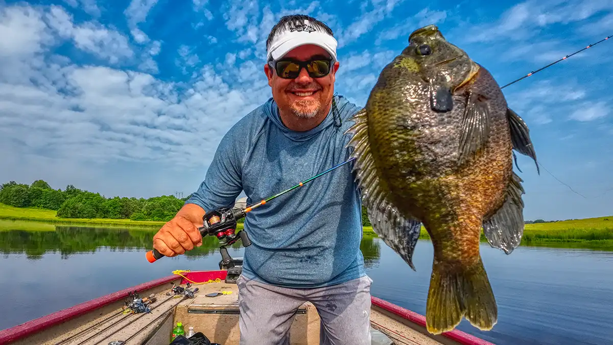 huge bluegill on BFS Gear