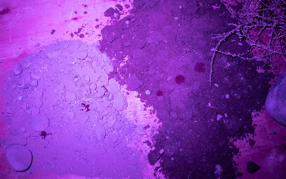 The Primos Bloodhunter highlights blood drops