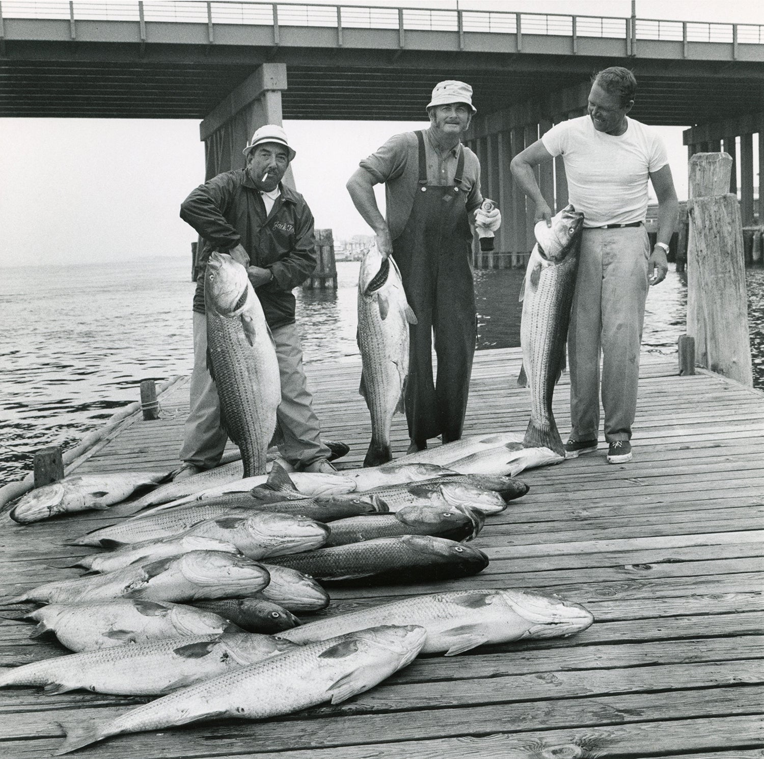 three anglers hold up big stipers while many others lie on dock in front of them