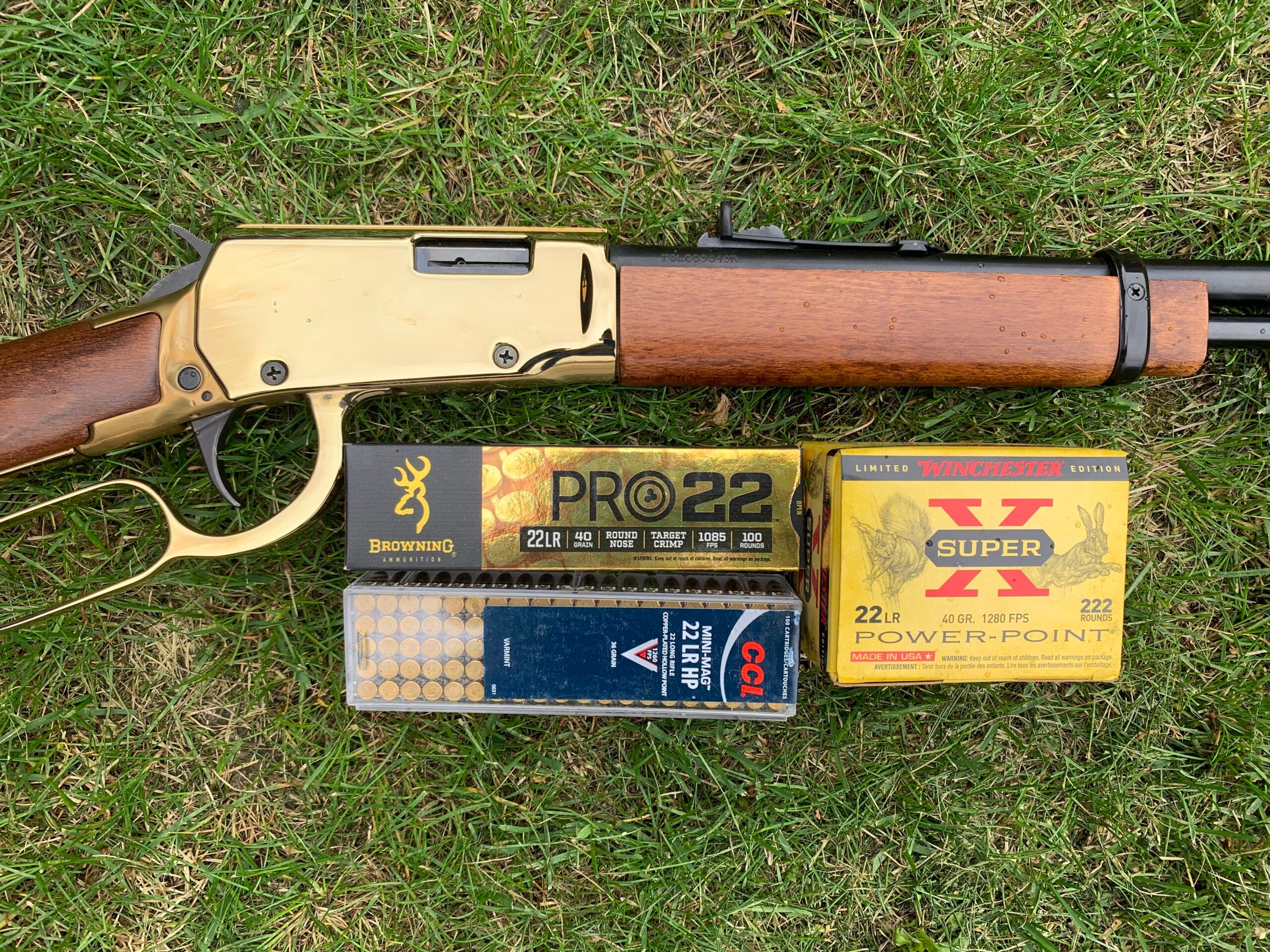 rossi rio bravo and ammo