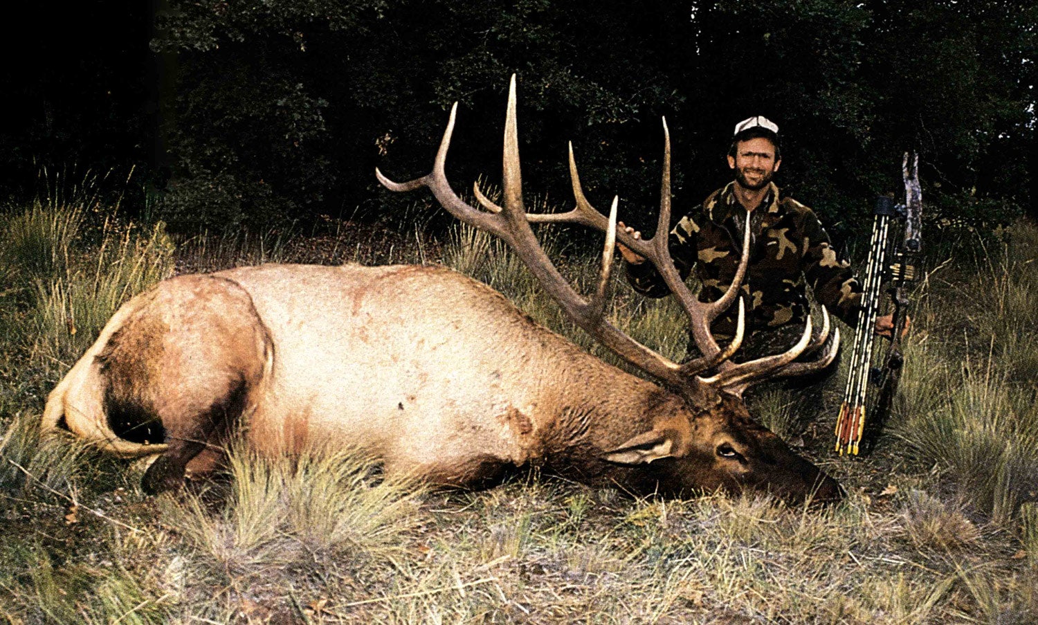 hunter holding compound bow poses behind very large elk