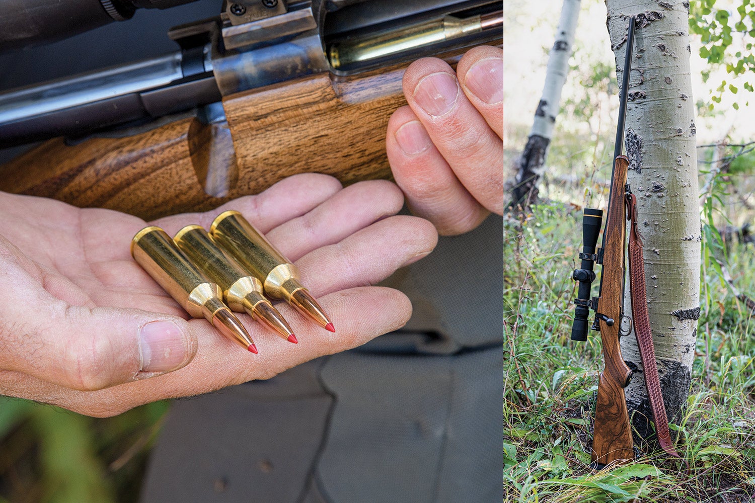hand holding three rifle cartridges; wood-stocked rifle leaning against aspen trunk.