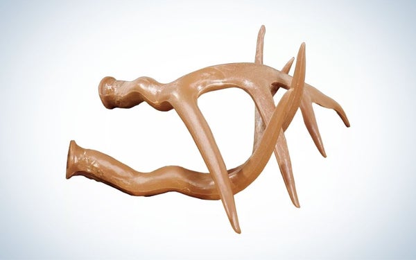 Primos Fightinâ Horns