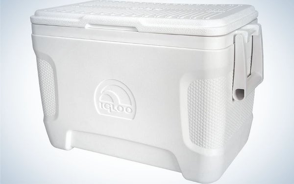 Igloo 25 Quart Marine contour