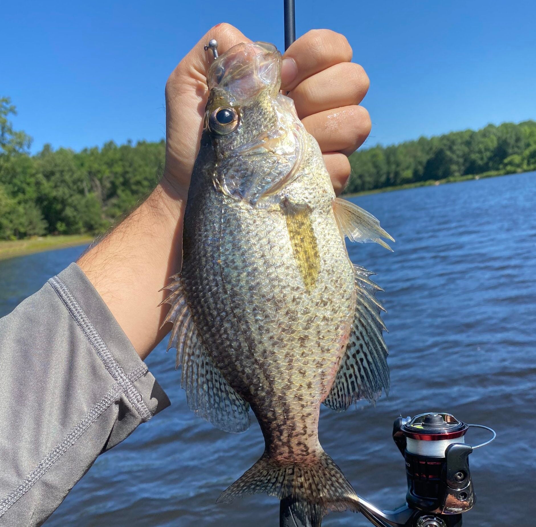 Crappie Fishing photo