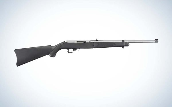 Ruger 10/22 Takedown