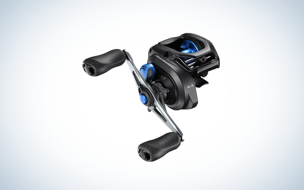 baitcasting reel