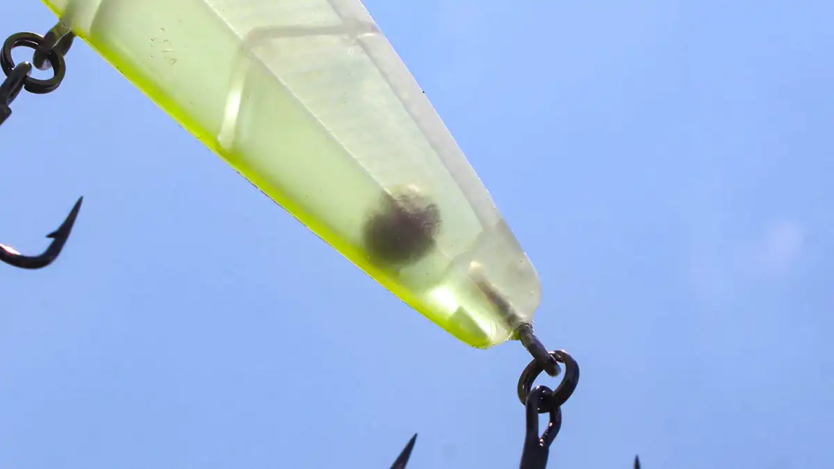 ark outlaw tail knock